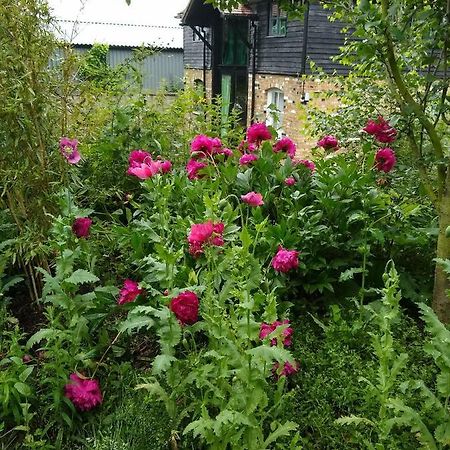 Watercress Barns Lejlighed Sittingbourne Eksteriør billede