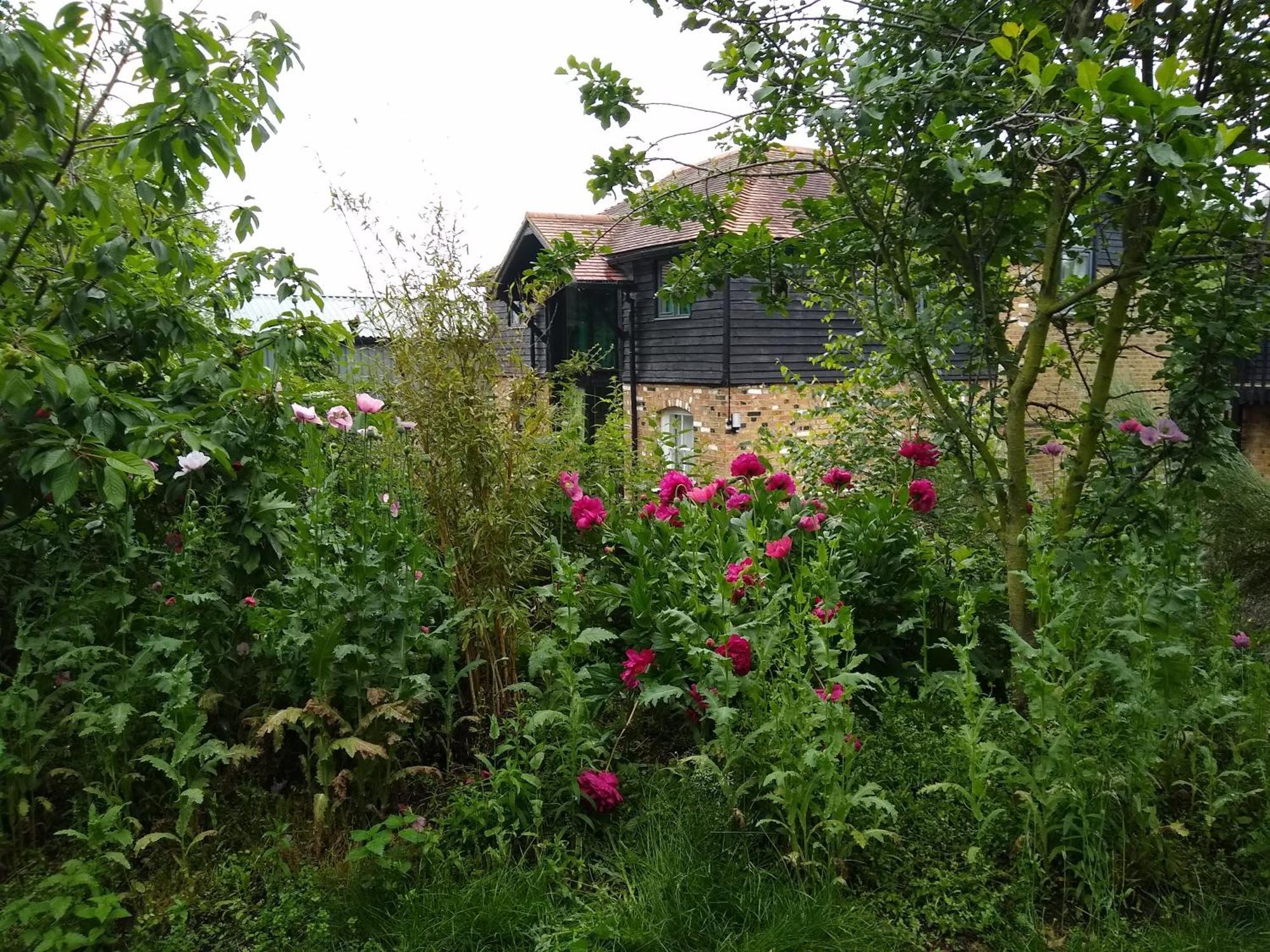 Watercress Barns Lejlighed Sittingbourne Eksteriør billede
